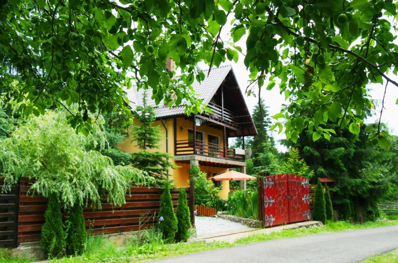 Дома для отпуска Atelierul Zanei Holiday Home Schitu-Tarcău-41
