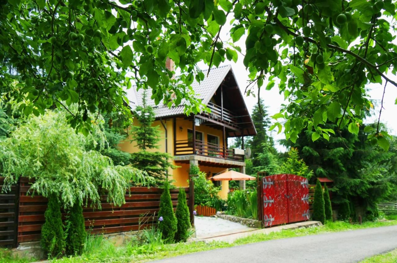 Дома для отпуска Atelierul Zanei Holiday Home Schitu-Tarcău