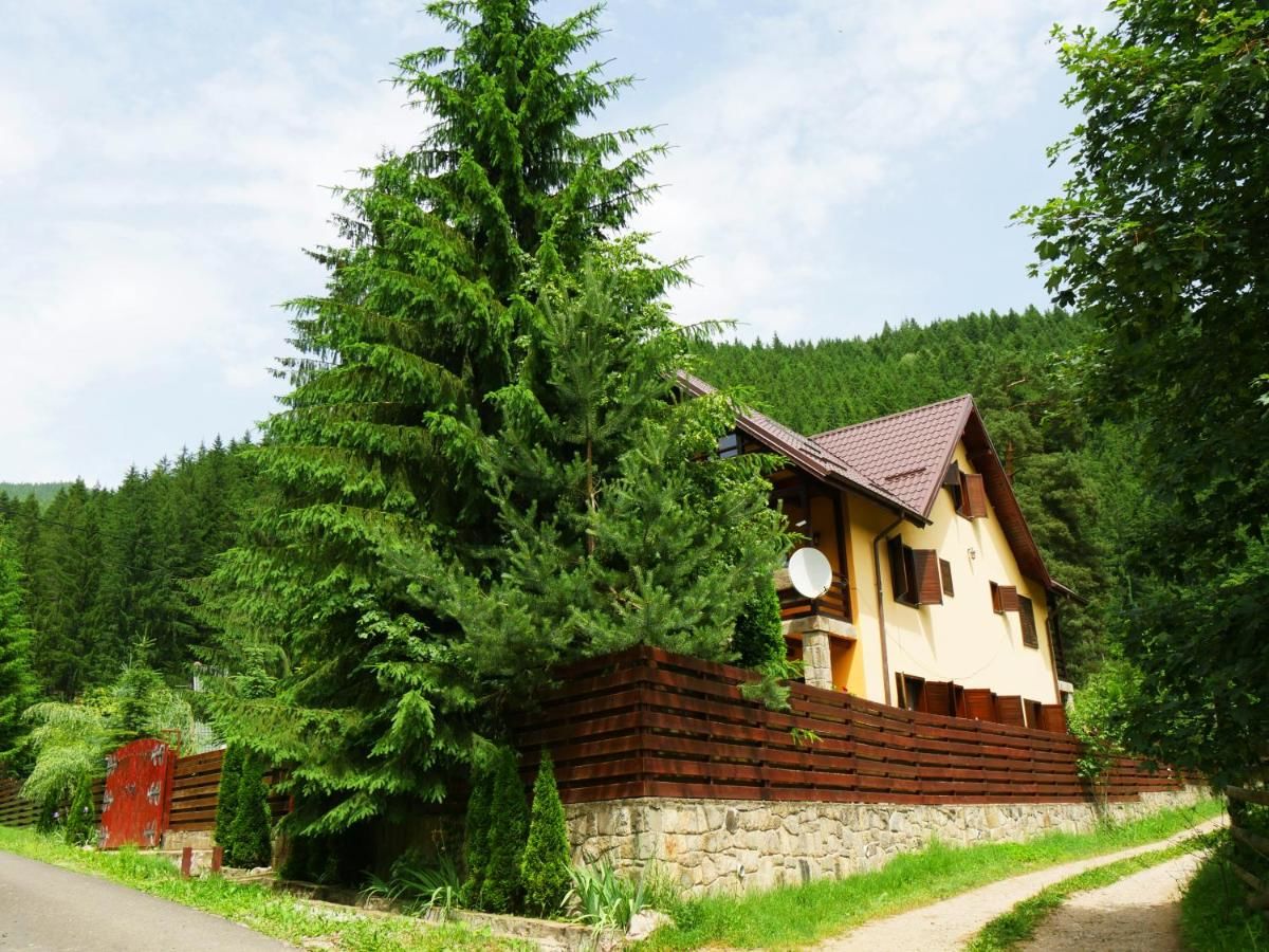 Дома для отпуска Atelierul Zanei Holiday Home Schitu-Tarcău-42