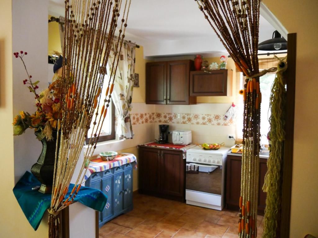 Дома для отпуска Atelierul Zanei Holiday Home Schitu-Tarcău