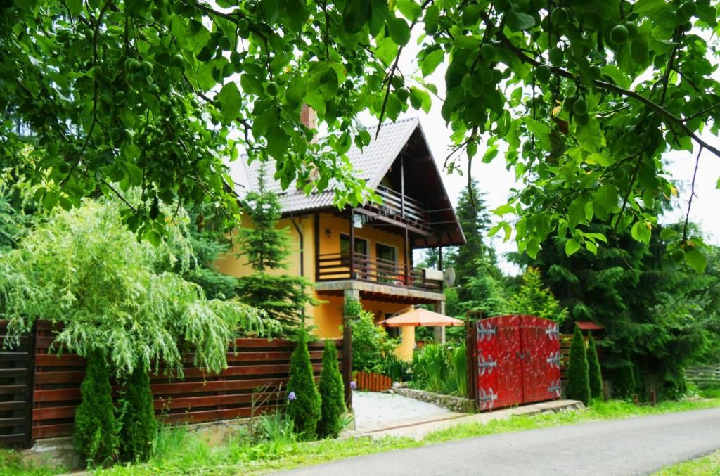 Дома для отпуска Atelierul Zanei Holiday Home Schitu-Tarcău-81