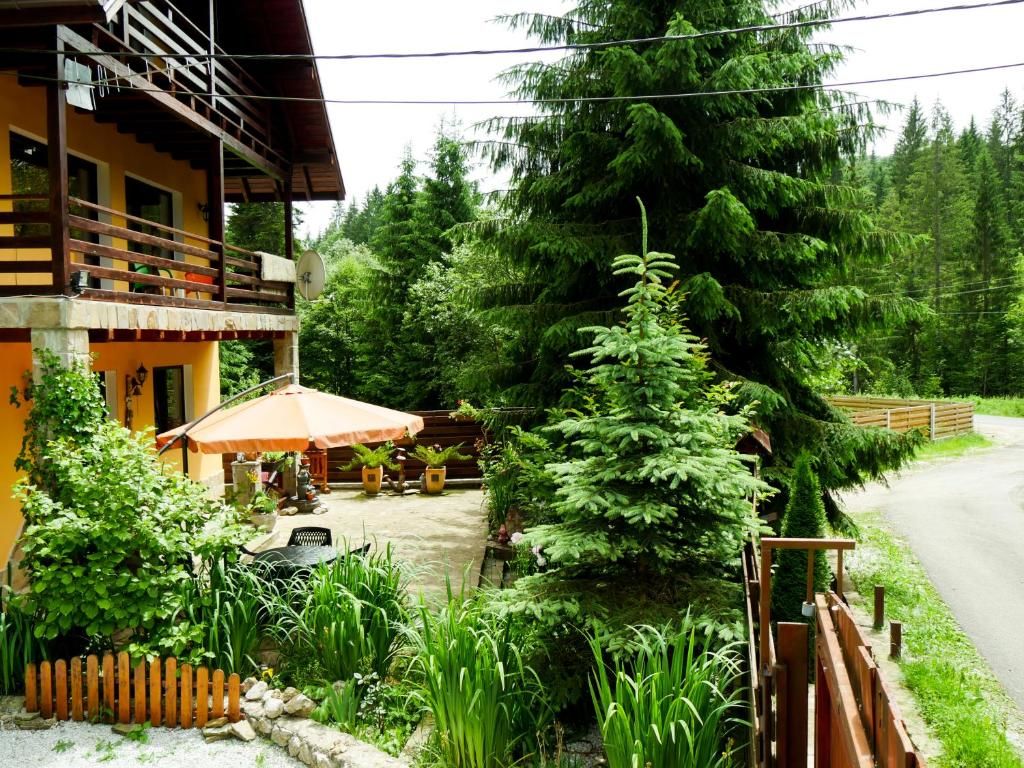 Дома для отпуска Atelierul Zanei Holiday Home Schitu-Tarcău-86