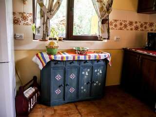 Дома для отпуска Atelierul Zanei Holiday Home Schitu-Tarcău Дом с 3 спальнями-70
